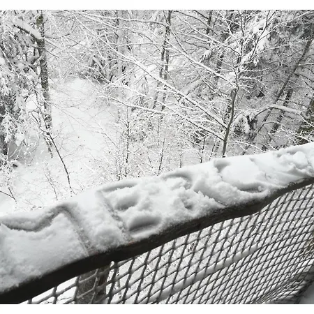 Des Volcans Chalet *