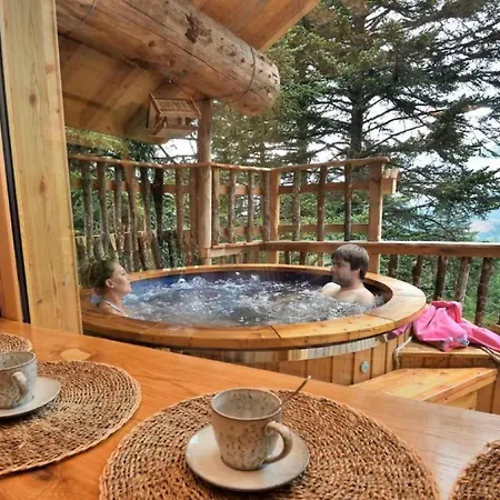 Des Volcans Chalet La Tour-d'Auvergne