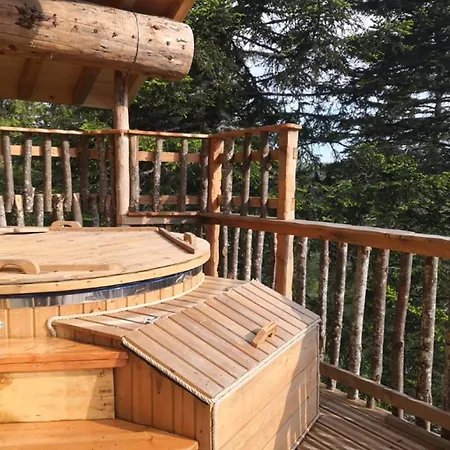 Chalet Des Volcans La Tour-d'Auvergne