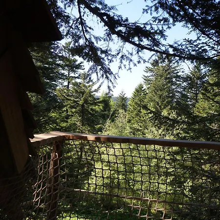 Chalet Des Volcans *